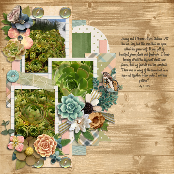 Levi Stadium Succulents