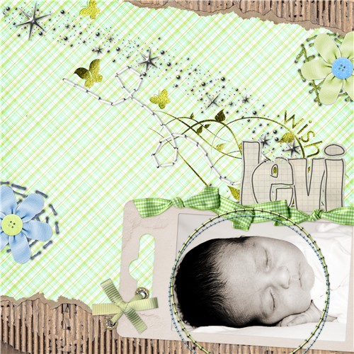 Levi