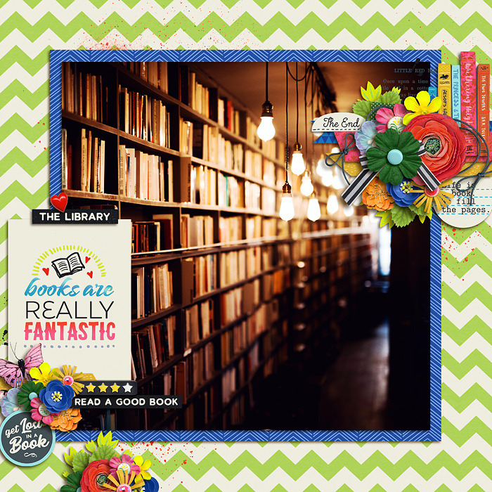 library lover