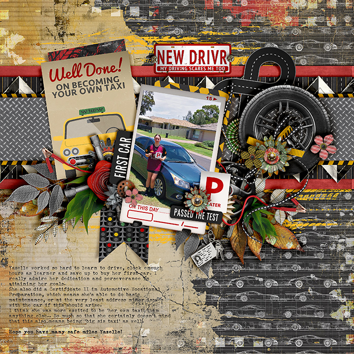 Licence to drive