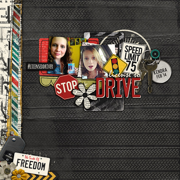 License to Drive