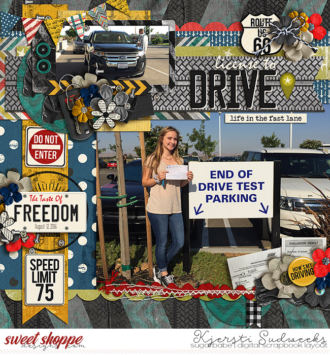 License to Drive