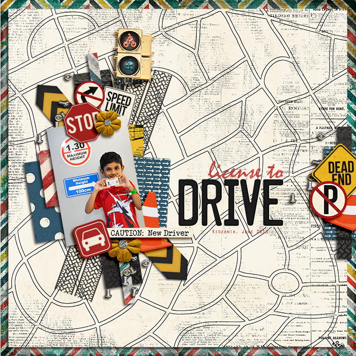 License-to-drive1