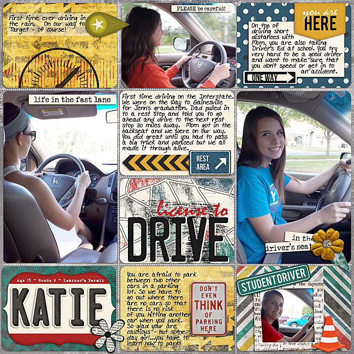 Licensed To Drive