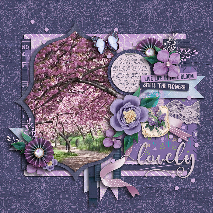 Life in Bloom
