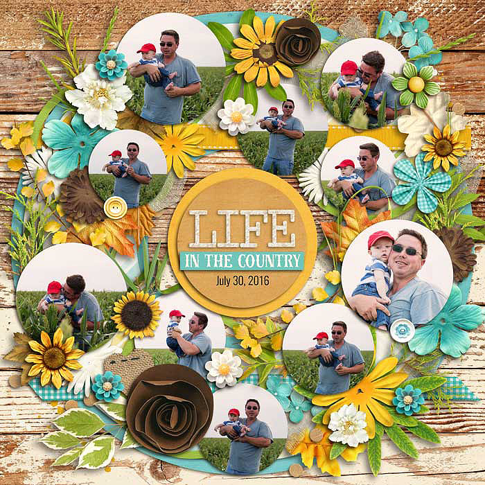 Life in the Country
