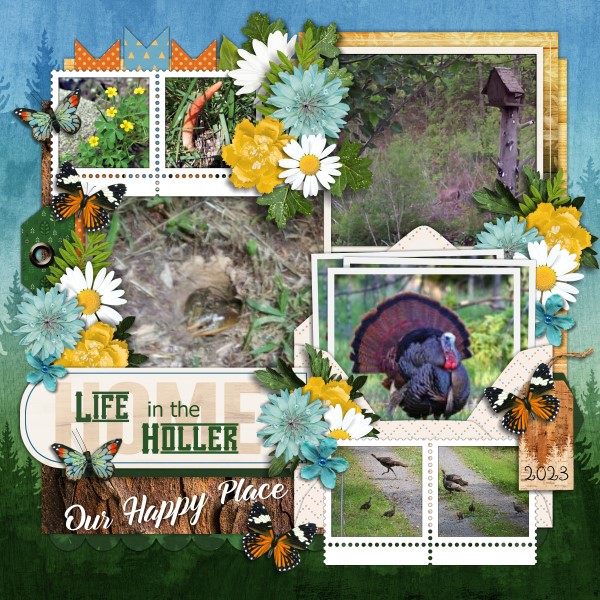 Life in the Holler