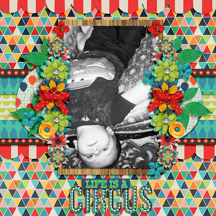 Life is a Circus