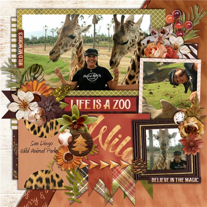 LIFE IS A ZOO!