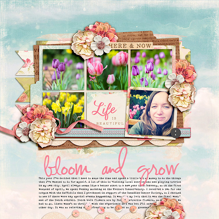 life is beautiful