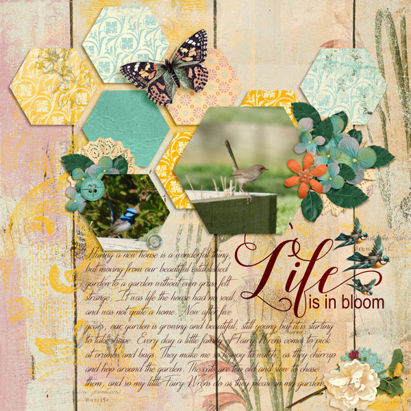 Life is Beautiful