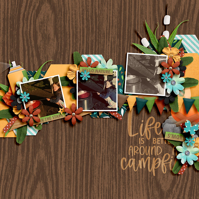 Life is better around a campfire