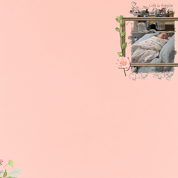 Life is Fragile