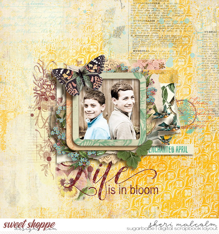 Life is in Bloom