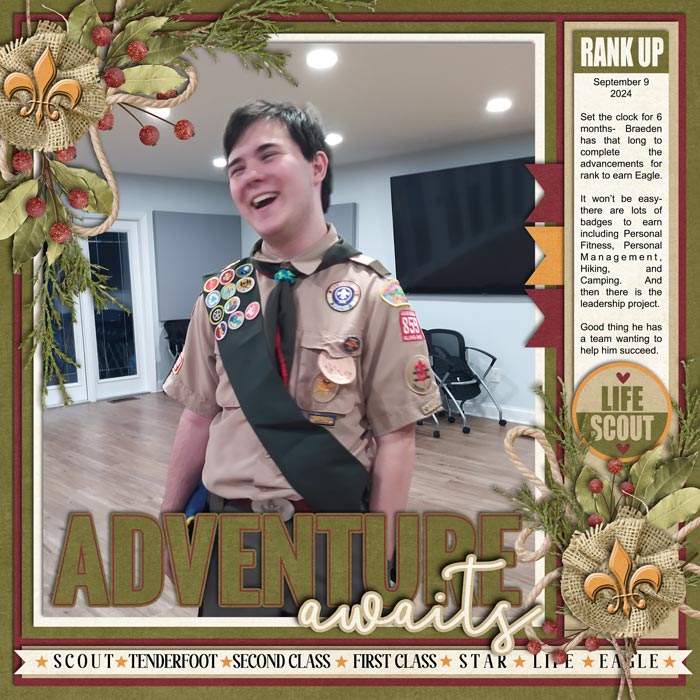 Life Scout