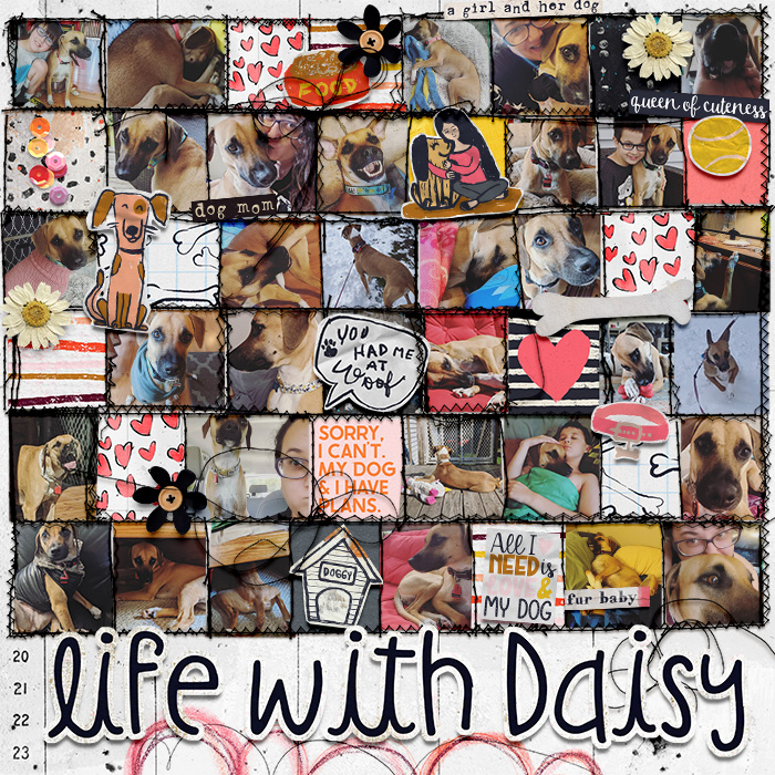 Life With Daisy
