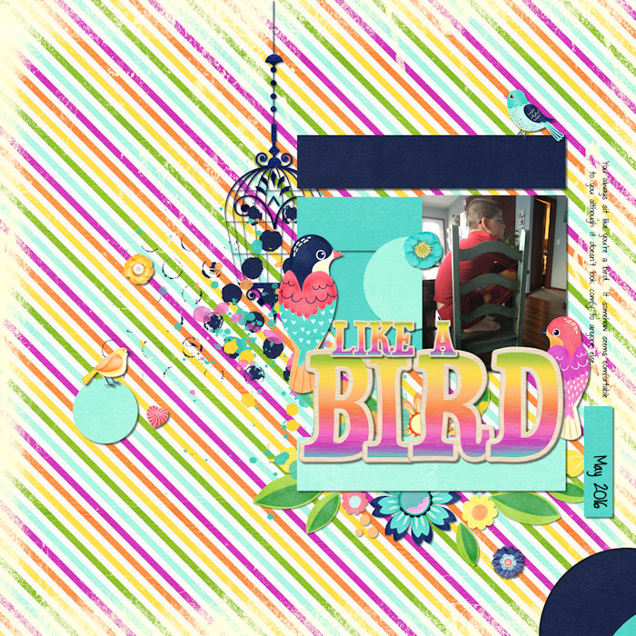 Like a Bird