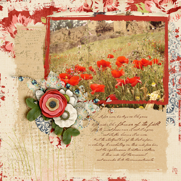 Like Wildflowers