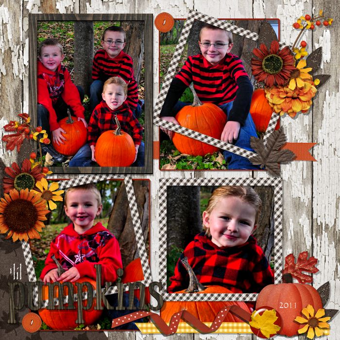 lil Pumpkins