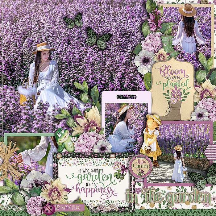 Lilac garden