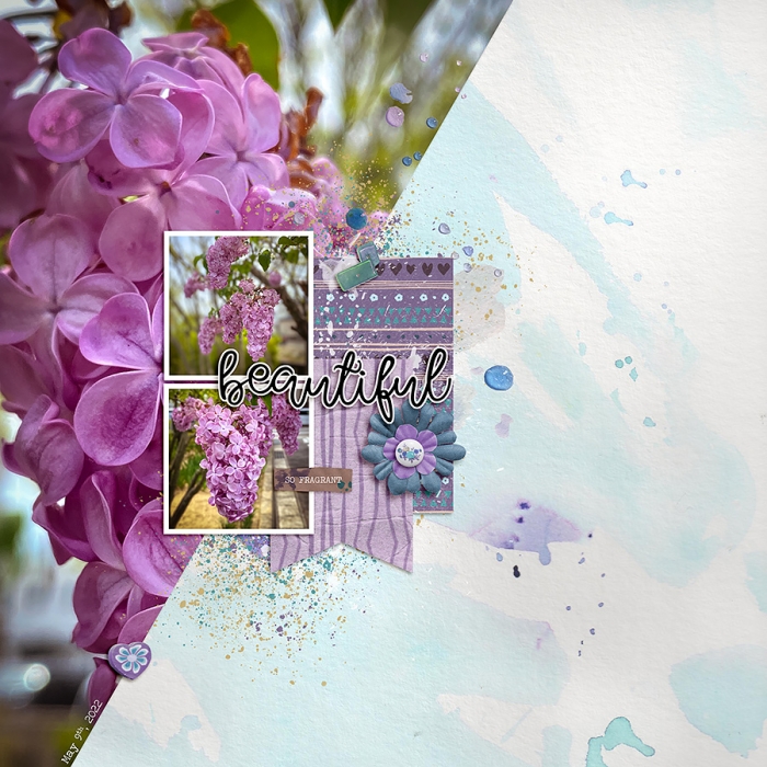 Lilac