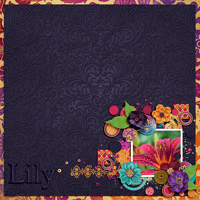 Lily