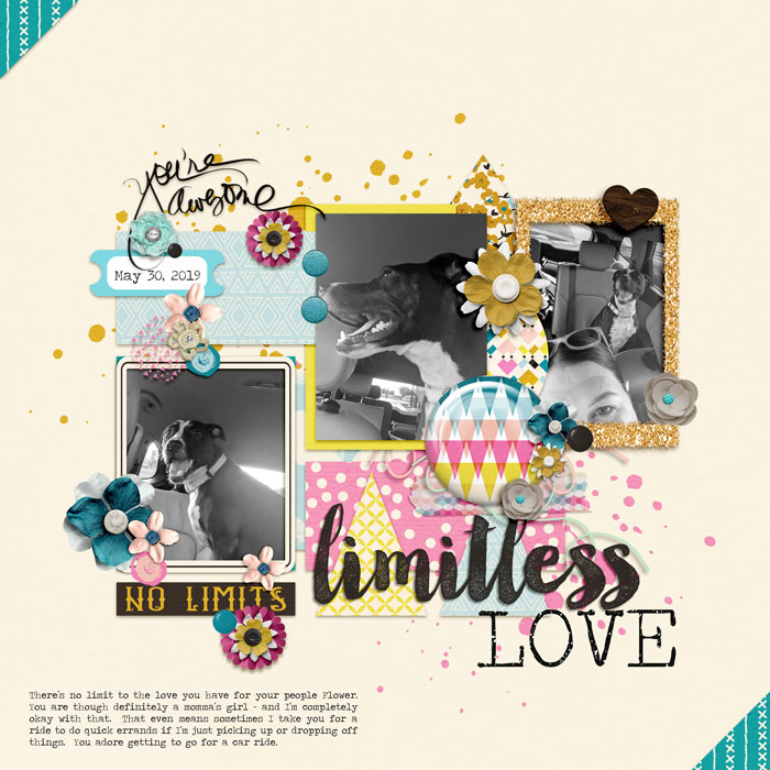 Limitless Love