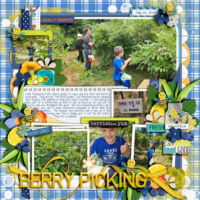 Linbo Berry Picking