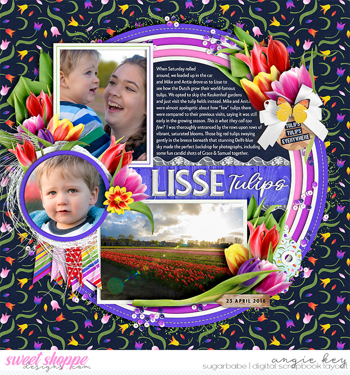 Lisse Tulips