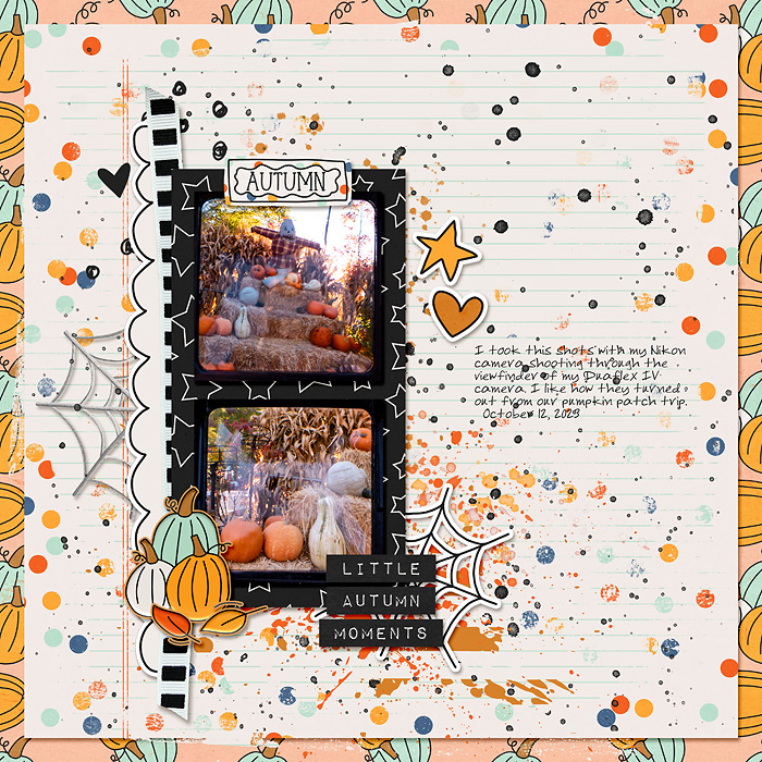 Little Autumn Moments