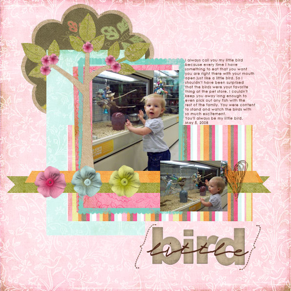 Little Bird
