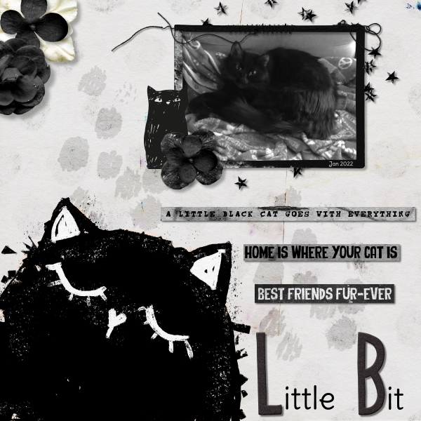 Little Bit