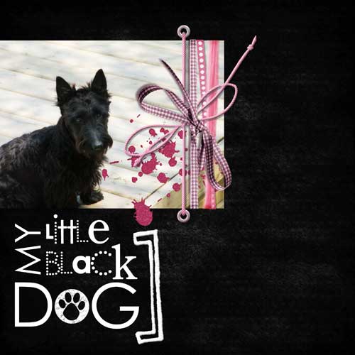 Little Black Dog