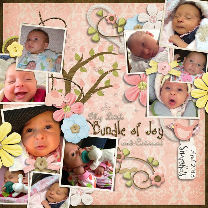 Little Bundle