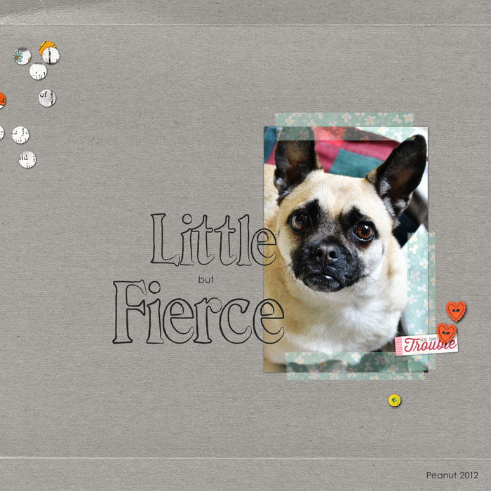 Little but Fierce