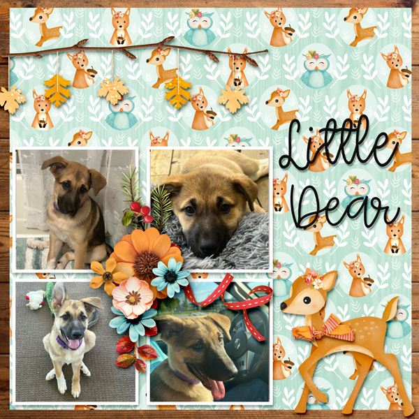 Little Dear