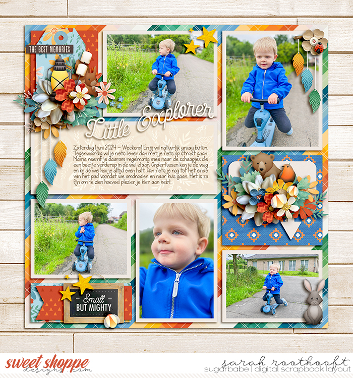 Little Explorer