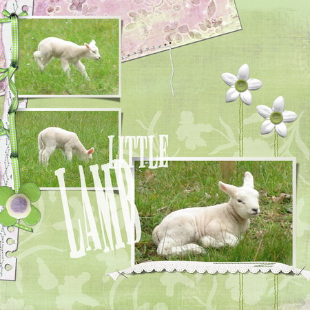 little lamb