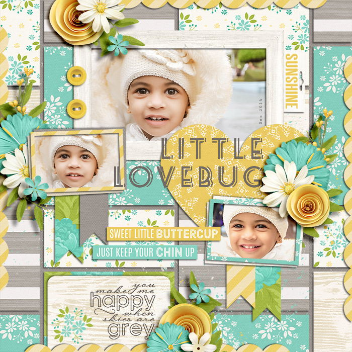 Little Lovebug