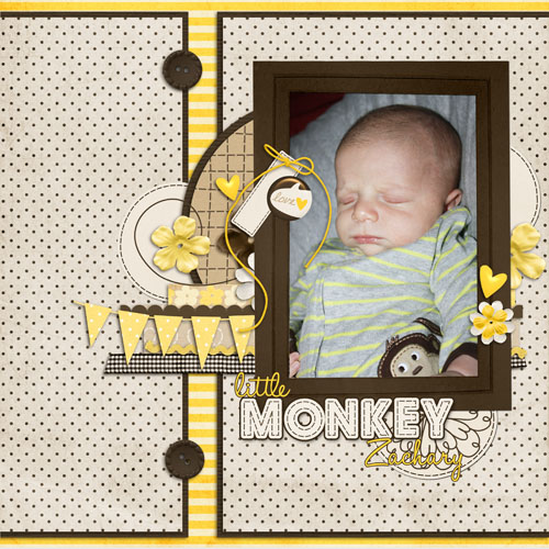 Little Monkey Zachary