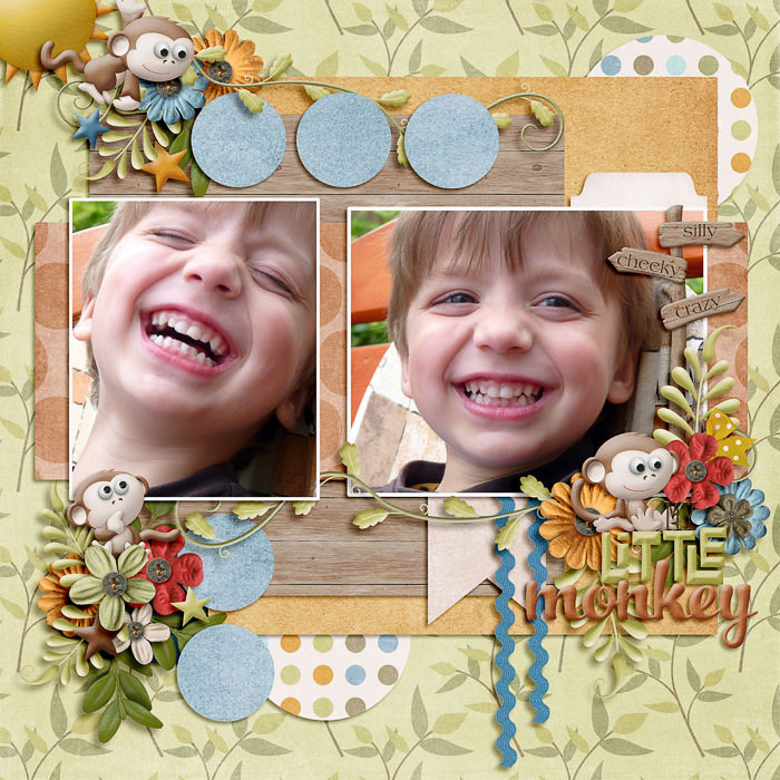 Little Monkey