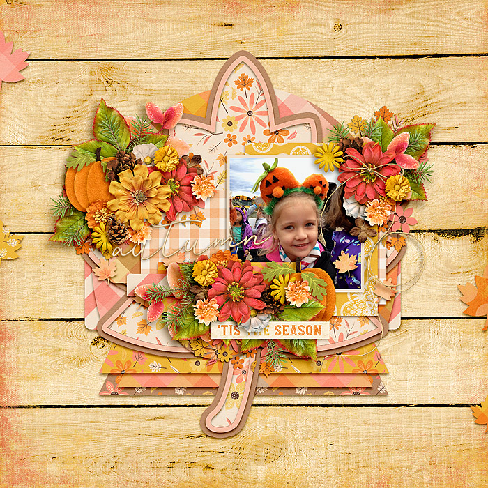 Little Pumpkin