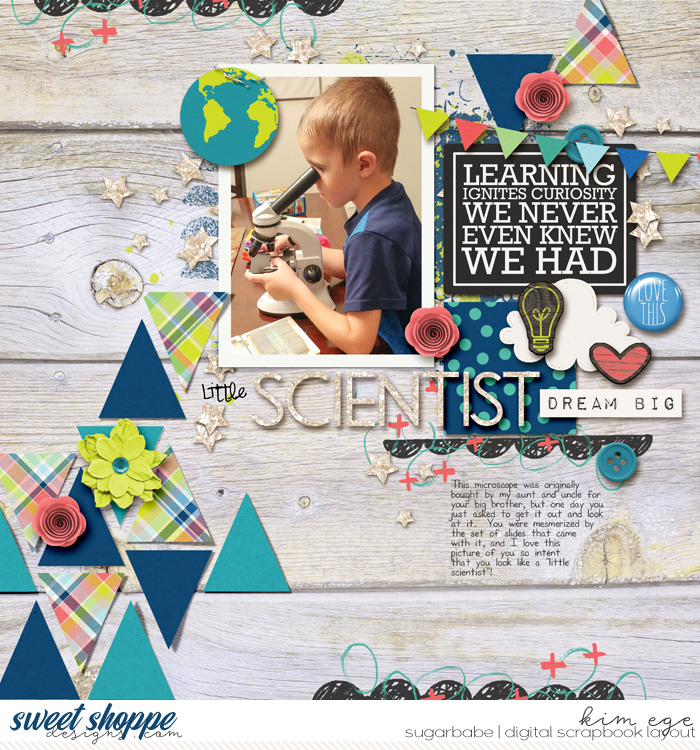 Little Scientist