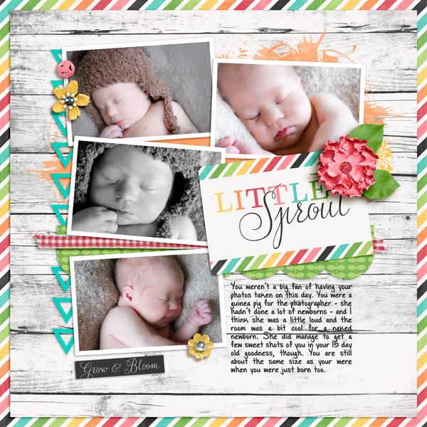 Little Sprout