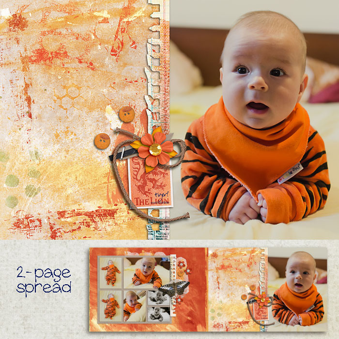 Little tiger