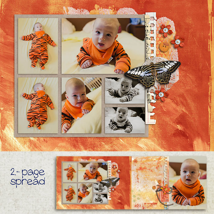 Little tiger