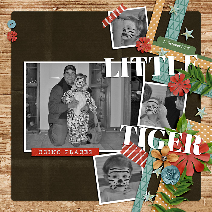 Little Tiger