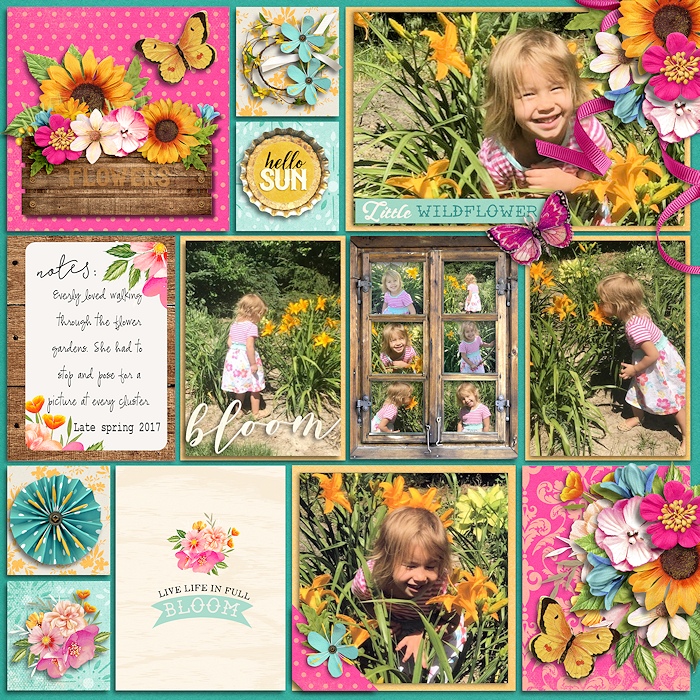 Little wildflower