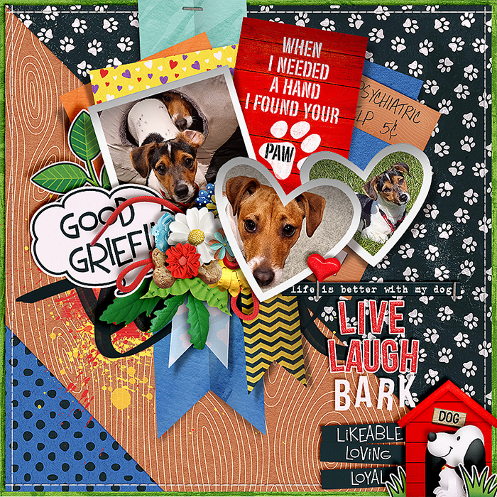 Live laugh Bark