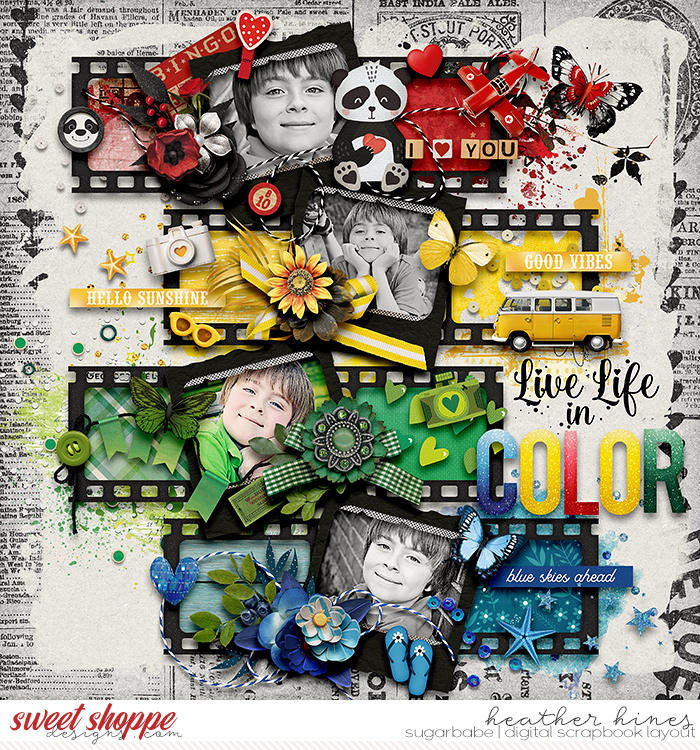 Live Life In Color